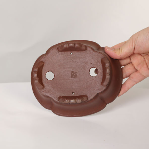 現代小鉢：柴勝　足付モッコ鉢【現品】*shibakatu　16.0cm