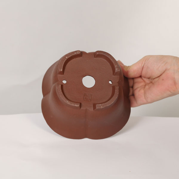 現代小鉢：柴勝　輪花鉢【現品】*shibakatu　15.8cm