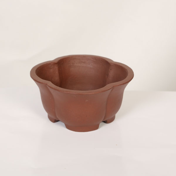 現代小鉢：柴勝　輪花鉢【現品】*shibakatu　15.8cm