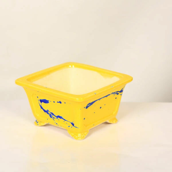 現代小鉢：柴勝　足付正方鉢【現品】*shibakatu　14.8cm