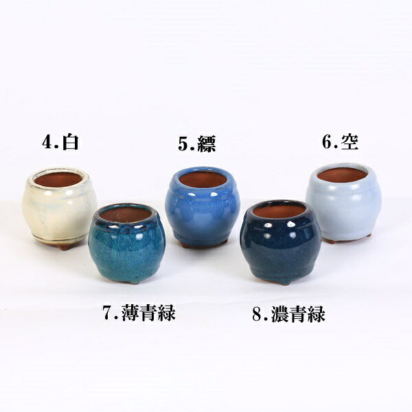 鉢：中国製たいこ鉢*資材