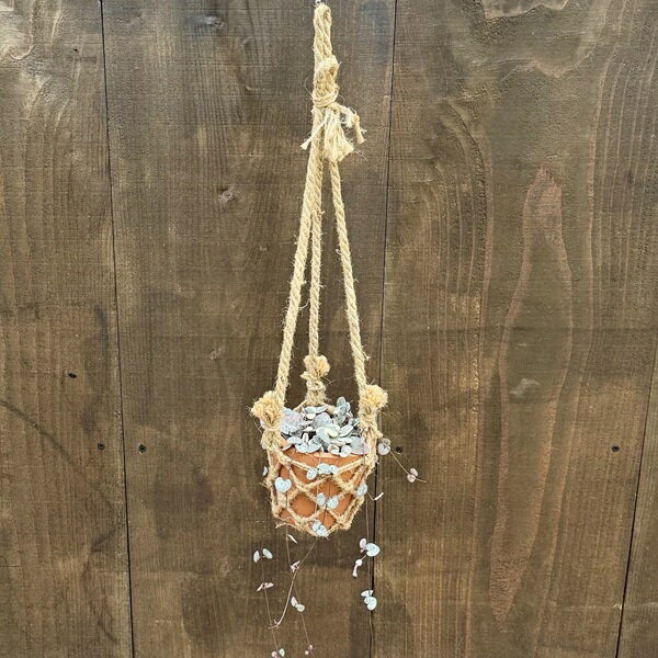 観葉植物：ハートカズラ 吊り鉢カバー*