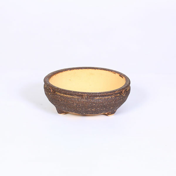 鉢：信楽焼　小紋　14.5cm