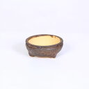 鉢:信楽焼 小紋 11.0cm
