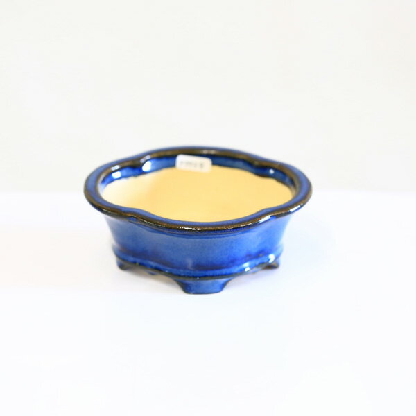 現代小鉢：昭山　足付モッコ鉢【現品】*shouzan　13.3cm