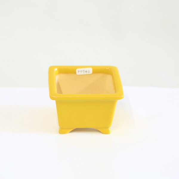 Rakuten - 現代小鉢：昭山　足付正方鉢【現品】*shouzan　8.8cm