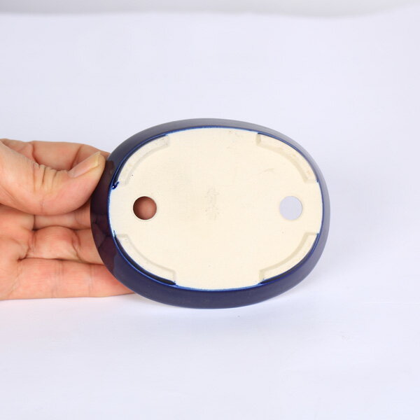 現代小鉢：青香　楕円浅鉢　10.2cm*seika