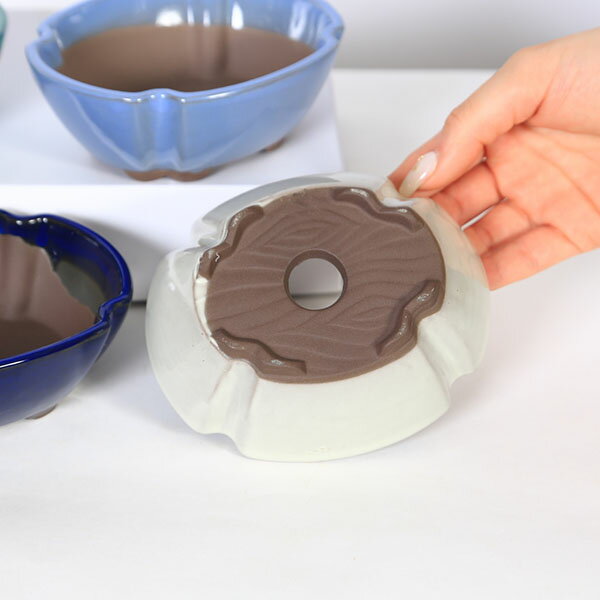 ��ȭ����å�ȭ��12.5cm ��2141��*���