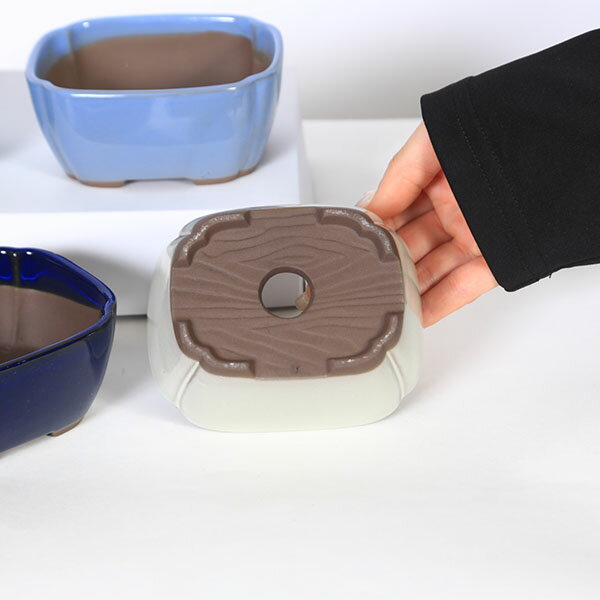 ȭ����Ĺ��ȭ��11.5cm��2142��*���