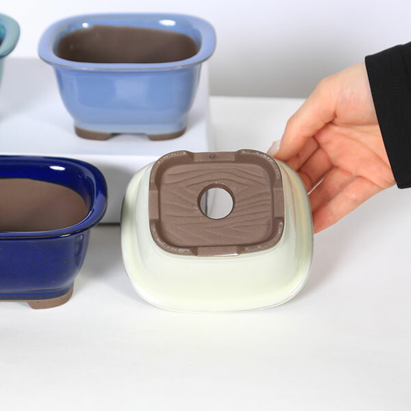 ȭ����Ĺ������ȭ��12cm��2143��*���