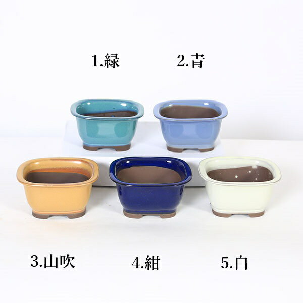 Rakuten - 鉢：国産長方縁付鉢　12cm（2143）*資材