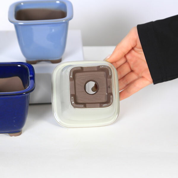 ȭ��������ȭ��10cm��2146��*���