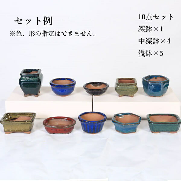 鉢：中国小鉢10点セット 2.5号-A*資材