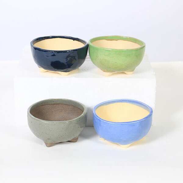 現代小鉢：祥石(二代目)ゆうき*丸鉢 4号