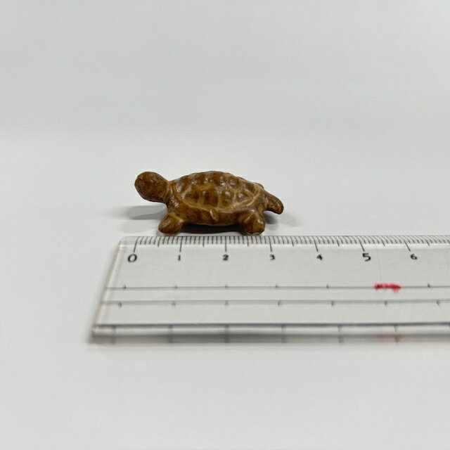 ź�ʡ�Ʀ��*��ࡡ���ᡡ�ޥᥬ��