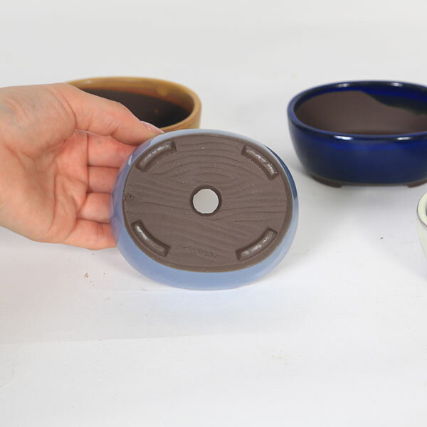 ȭ�����ʱ�ȭ(��)��10.5cm��1951v��*���