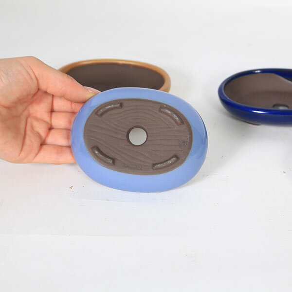 ȭ�����ʱ�ȭ(��)��11cm��1954v��*���