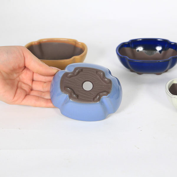 ȭ���񻺥�å�ȭ��10.5cm ��1955v��*���