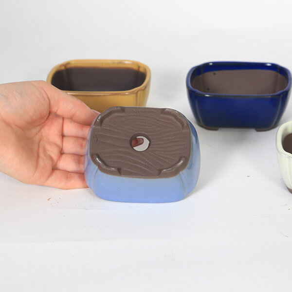 ȭ����Ĺ��ȭ��9.7cm��1956v��*���