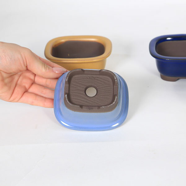 ��ȭ��Ĺ��ȭ��10cm��1959v��*���