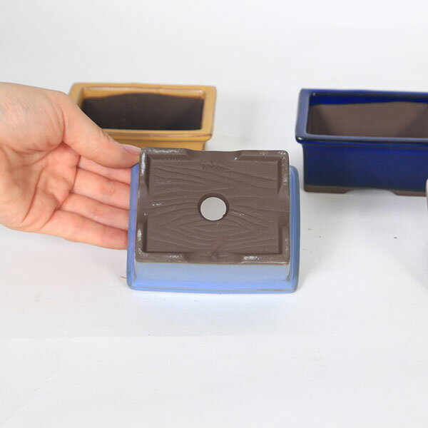 ȭ����Ĺ��ȭ��9.5cm��1961v��*���