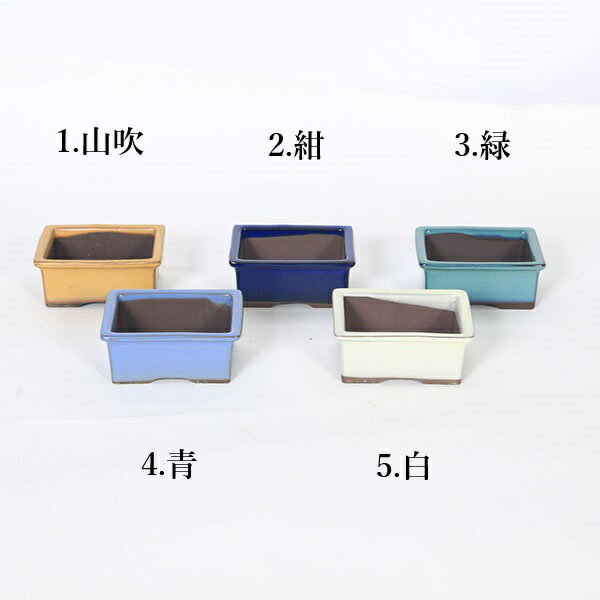 鉢：国産長方鉢　9.5cm（1961v）*資材