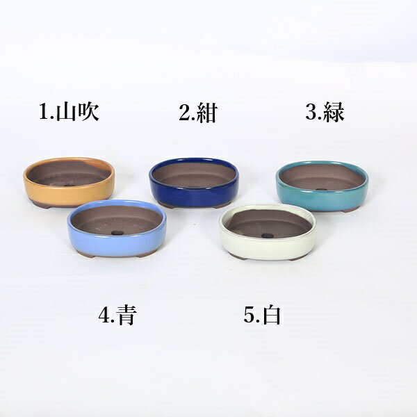 鉢：国産楕円鉢(浅)　10.5cm(1953v)*資材