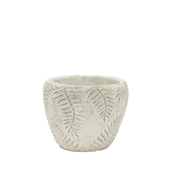 ���� �����ǥ˥� �ݥå� ����ȭ�������ȥݥå� �꡼�� M*�꡼���� ���