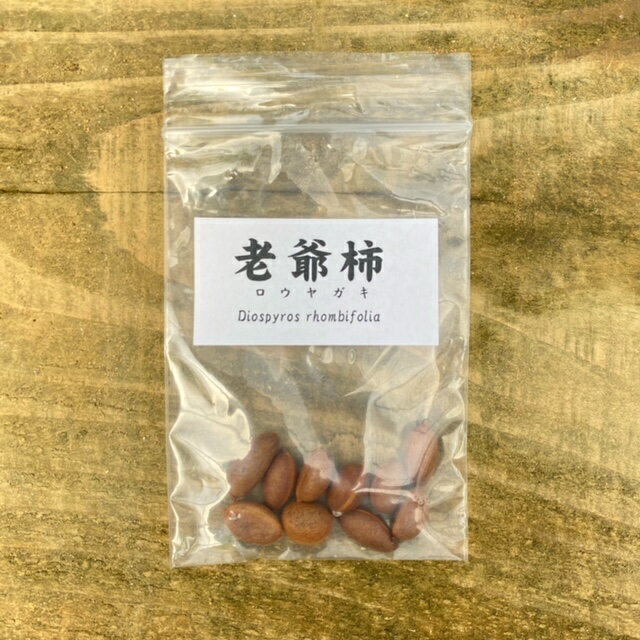 ͷߺϡŷԾŹ㤨ͷߺϡҡϷ*ʥ䥬/䤬ˡפβǤʤ440ߤˤʤޤ