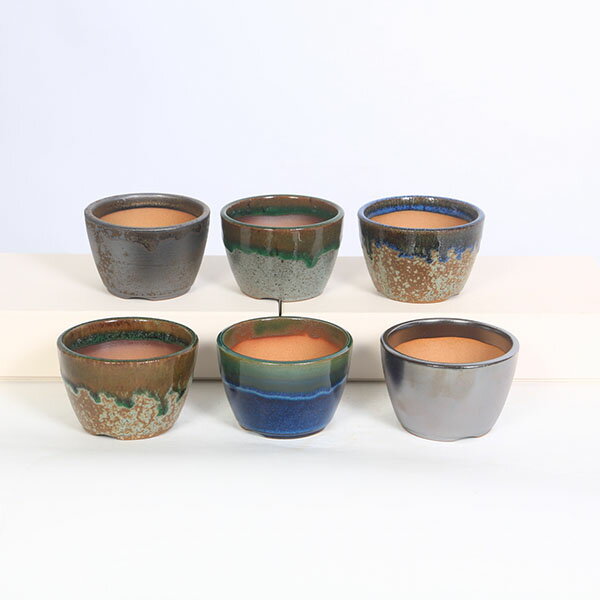 鉢：瀬戸焼切立丸鉢　2.5号*資材