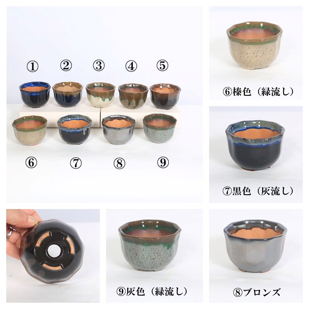 鉢：瀬戸焼花形丸鉢　2.5号*資材