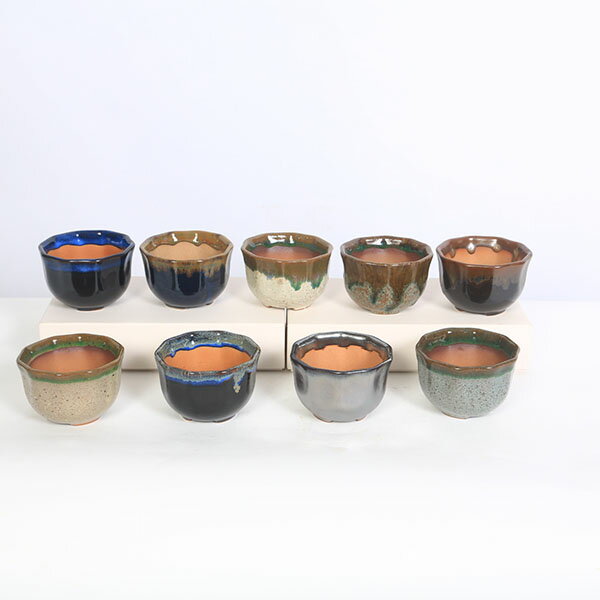 鉢：瀬戸焼花形丸鉢　2.5号*資材