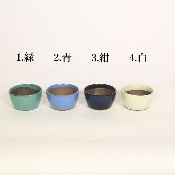 国産鉢：丸鉢　9.7cm*資材