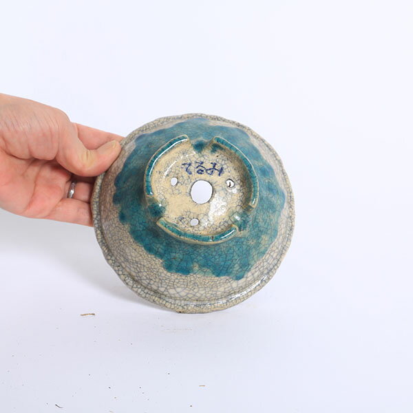 ���微ȭ������ʸ��(�Ƥ��)����ȭ��14.0cm�ڸ��ʡ�*bunzan