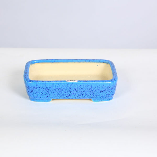 現代小鉢：柴勝 長方撫角切立鉢【現品】*shibakatu 16.3cm