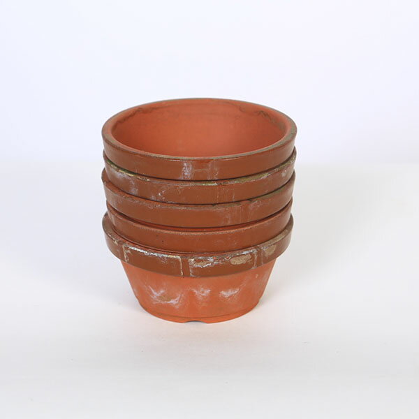 Rakuten - 鉢：【中古】国産素焼き鉢　駄温　3.5号浅　5個セット*資材