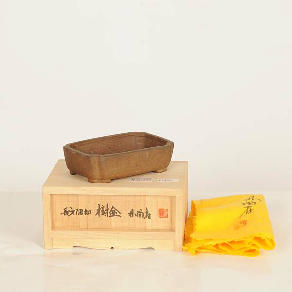 現代小鉢：陶雀　長方鉢【現品】*toujyaku　9.8cm