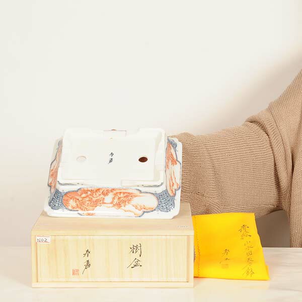 ���微ȭ���ղš�Ĺ��ȭ���ֳ������Ĺ��ȭ�١ڸ��ʡ�*haruyoshi��21.0cm