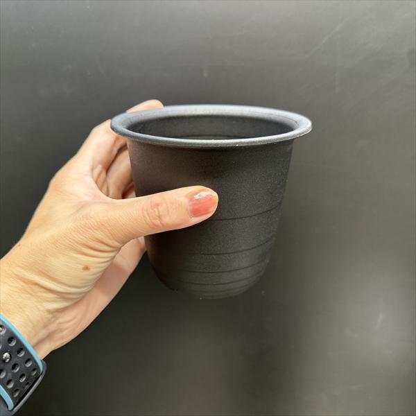 �ץ饹���å��ݥåȡ�3.5�桡FRȭ*2�ĥ��å�