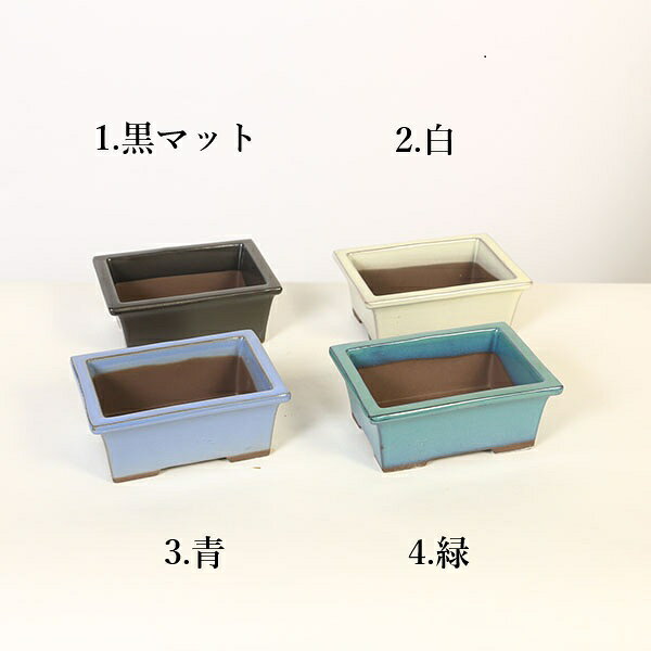 商品説明 鉢：4.5号　長角切足鉢*資材 日本製鉢　色物鉢 ※こちらは数量物となっております。 ※ご希望の色をお選び下さい。 ＊数量物の為、若干の色の違い(色むら)があります。 サイズ 鉢径：13.5cm　奥行：10.5cm　高さ：5.0c...