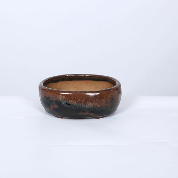 現代小鉢：天龍石仙　楕円鉢【現品】*11.2cm　sekisen
