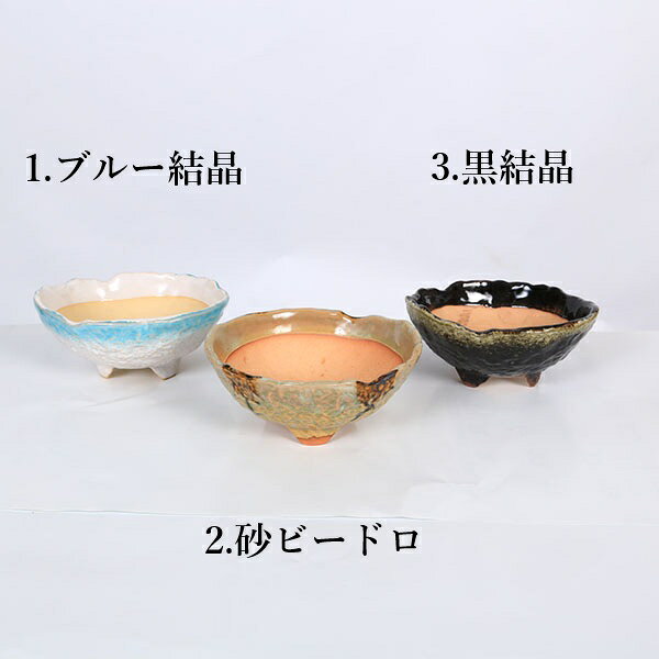 鉢：5号　三ツ足鉢　16cm*資材