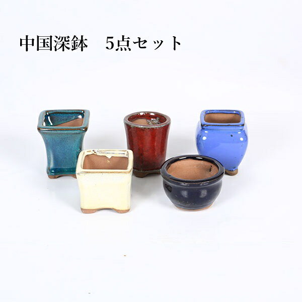 商品説明鉢：中国深鉢　5点セット 2.5号*資材*色のご指定はできません。ご了承ください。ミニ盆栽に最適です。 中国製鉢　色物鉢*色は画像と異なります。*中国製の為、一部釉薬ムラやトビ・ピンホール・歪み・くぼみ・コメ欠け・底穴付近の焼きヒビ（窯傷）等がある場合がございます。予めご理解の上、お買い求めください。サイズ鉢径：約5.2cm〜6.8cm　高さ：約4.7cm〜6.8cm納期配達ご希望日時のご指定ができます。お急ぎの場合は午前中までにご注文の場合、即日発送も可能です。配送【配送業者】 ヤマト運輸【配送サービス名】宅急便