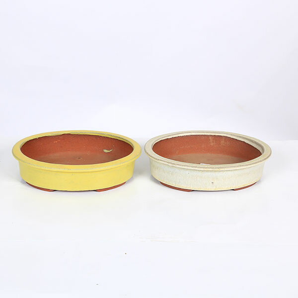 常滑作家：英明(燿山)　楕円エン付鉢　18.2cm【現品】*資材　eimei