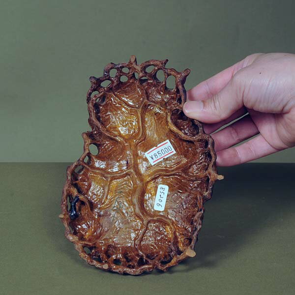 �ߺ������ ��ͺ16.0cm�ڸ��ʡ�*���