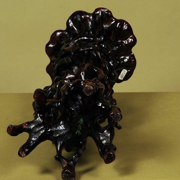 ������������ע���16.8cm�ڸ��ʡ�*���