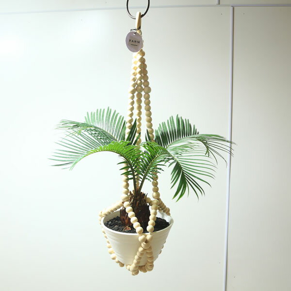 ������졡���ߡ�����ƥꥢ���ϥ󥬡������åɥӡ��� �ץ��ȥϥ󥬡�*