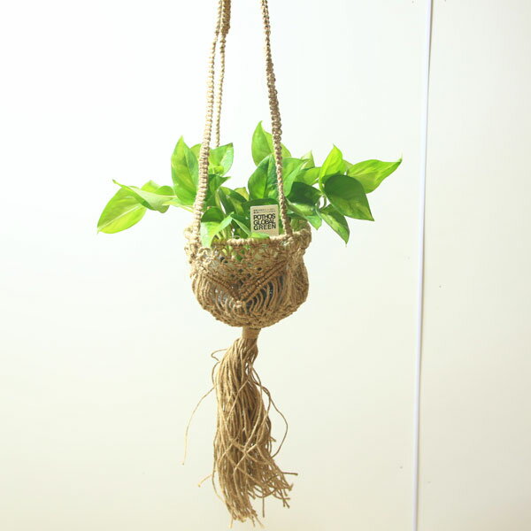 ������졡���ߡ�����ƥꥢ���ץ��ĥϥ󥬡������塼�ȼ��Ԥߥϥ󥮥�*