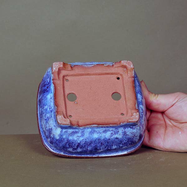 ���微ȭ���ͽ�ʼ��(���夦�٤�)Ĺ��ȭ��13.3cm�ڸ���*���