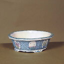 現代小鉢:祥石(二代目) モッコ鉢 19.8cm【現】*資材
